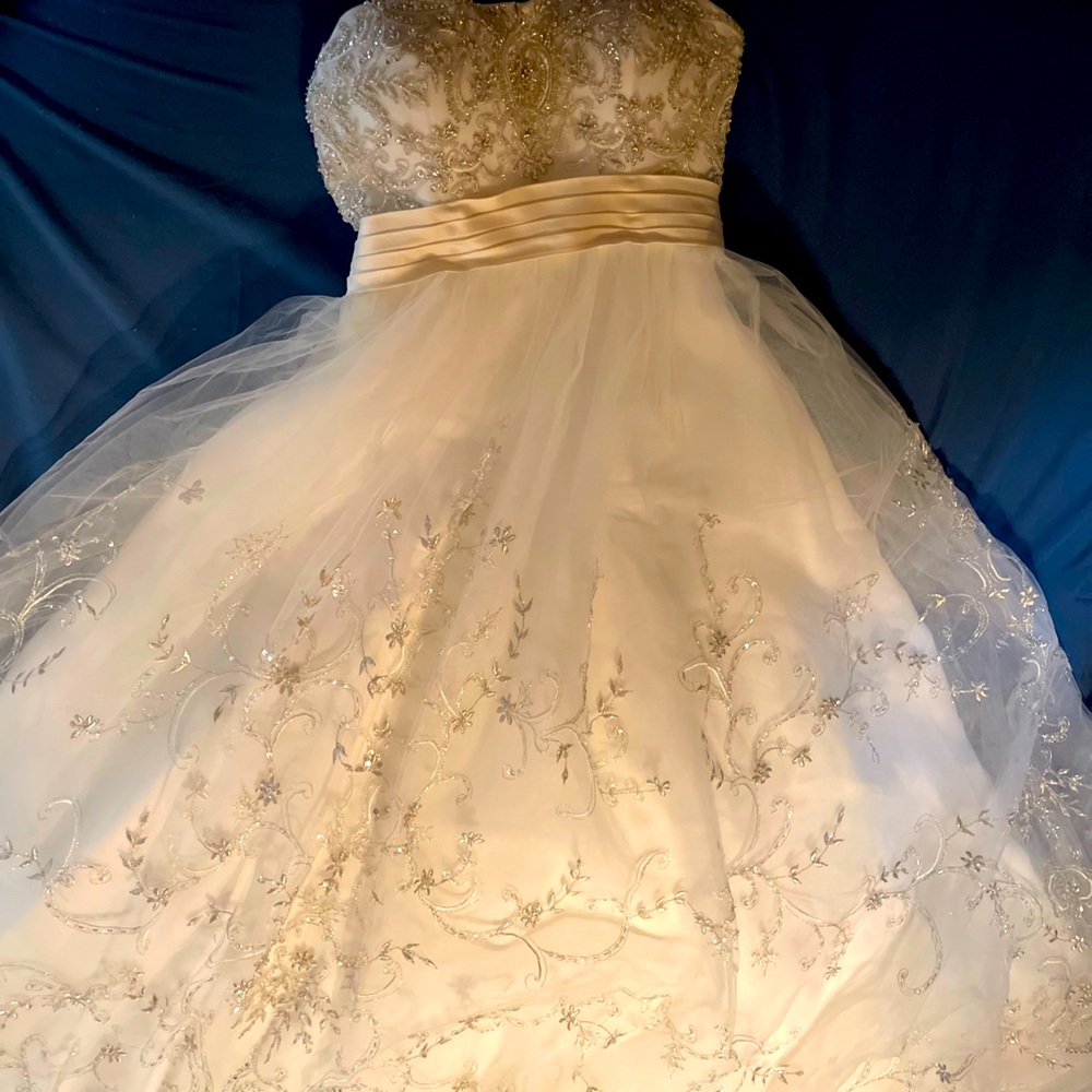 Casablanca, sweetheart, baby doll, silhouette dress